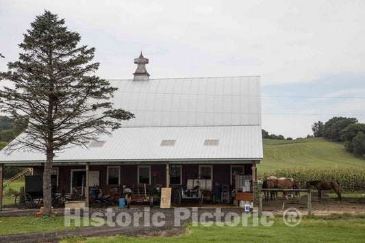 Photo - an Amish Farmhouse (Note The Absence of Electric Wires on The Property) Near The Town of Whitehall in Trempealeau County, Wisconsin- Fine Art Photo Reporduction