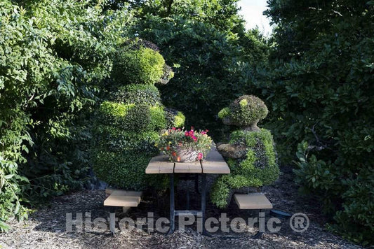 Photo - Topiary Figures Picnic at The Olbrich Botanical Gardens in Madison, Wisconsin's Capital City- Fine Art Photo Reporduction