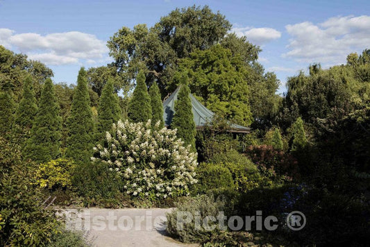 Photo- A Portion of The Olbrich Botanical Gardens in Madison, Wisconsin's Capital City 3 Fine Art Photo Reproduction