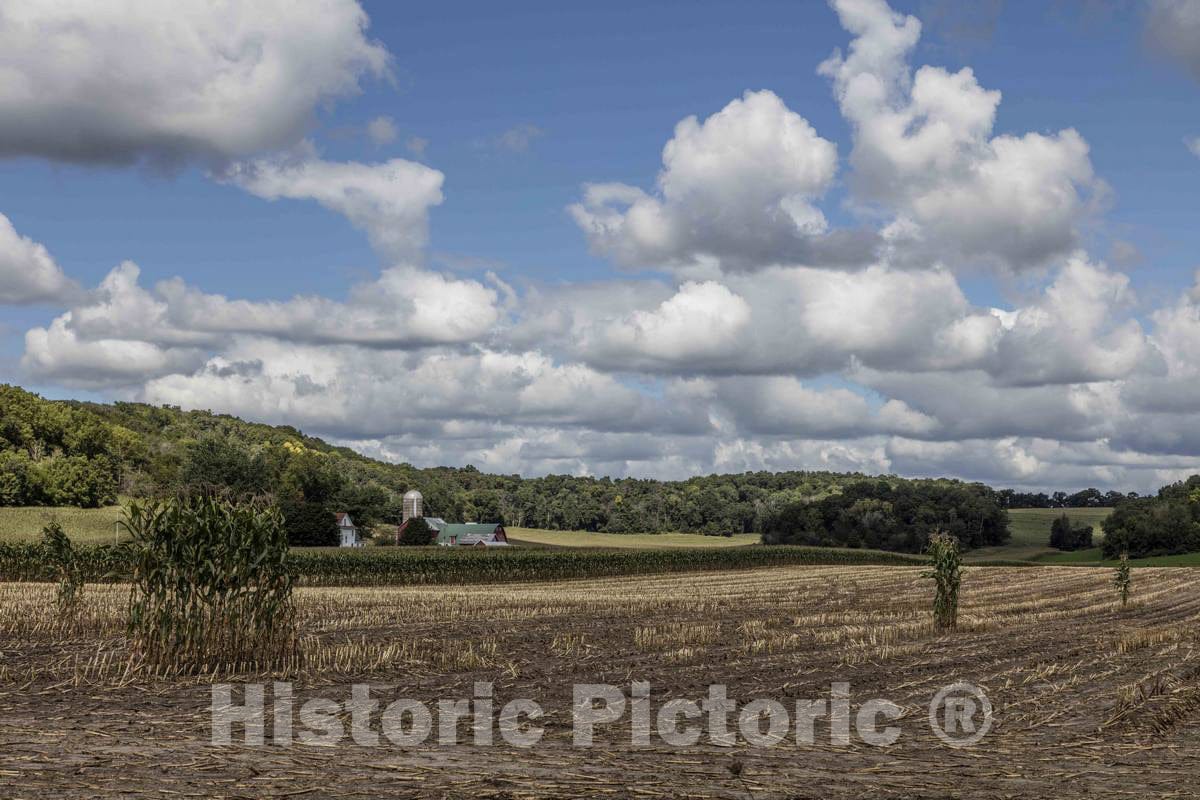 Photo- This Dane County, Wisconsin's, Farmer's Corn Harvest has Begun, with a Few Notable exceptions 1 Fine Art Photo Reproduction