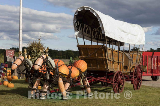 Photo- An imaginative fall display combining an old pioneer wagon and a team of"horses" made of pumpkins and other gourds at Peck's Farm Market in Spring Green, Wisconsin