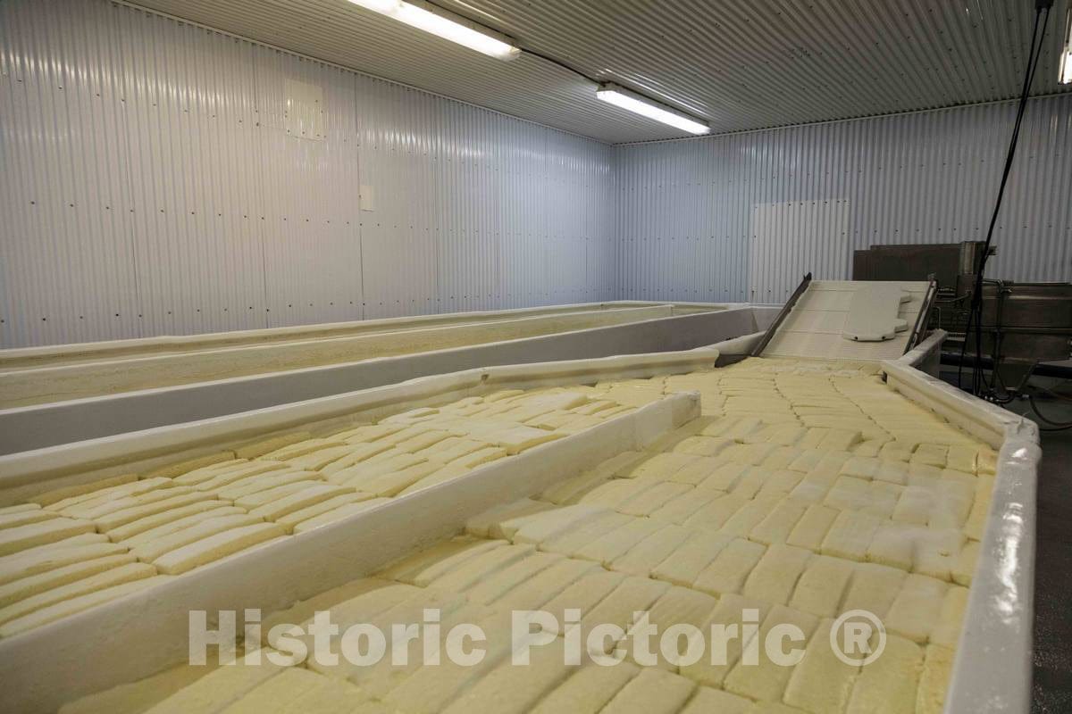 Photo - Workers at The Old Country Cheese Plant in Cashton, Wisconsin, Make Large Bricks of mild, semi-Soft muenster Cheese from Milk Supplied by Nearby Amish Farmers