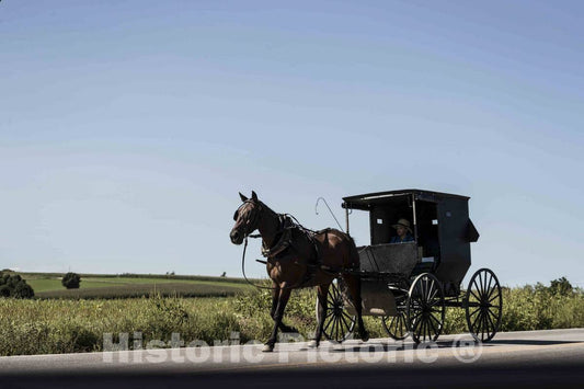 Photo - an Amish boy in an Old-Fashioned Black Buggy Guides his Horse Down a Country Road in Monroe County, Wisconsin- Fine Art Photo Reporduction