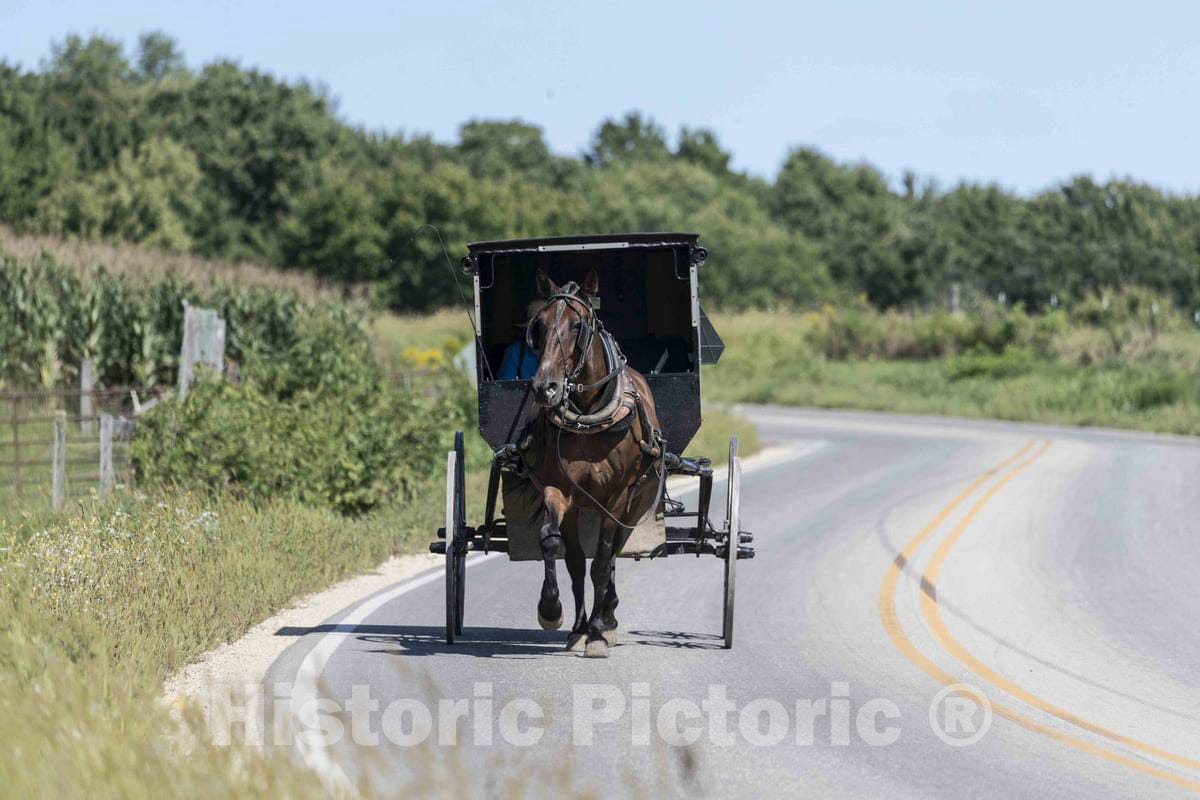 Photo - An Amish woman in an old-fashioned black buggy guides her horse down a country road in Monroe County, Wisconsin- Fine Art Photo Reporduction