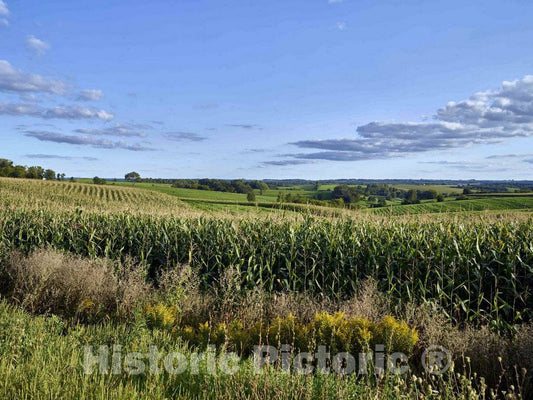 Photo- Rural Scene in Sauk County, Wisconsin 1 Fine Art Photo Reproduction