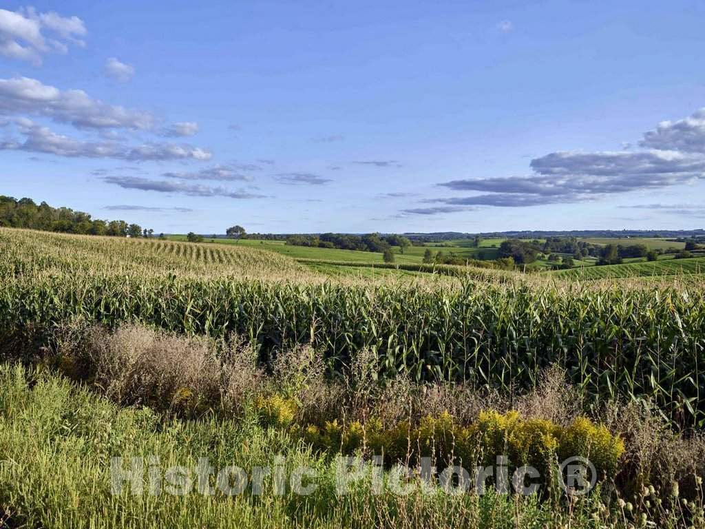 Photo- Cornfields in The Rolling Hills of Crawford County, Wisconsin 1 Fine Art Photo Reproduction