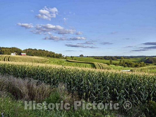 Photo- Cornfields in the rolling hills of Crawford County, Wisconsin 2 Fine Art Photo Reproduction
