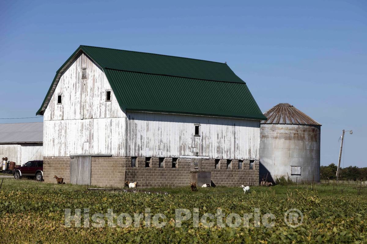 Photo - Goats Outside a barn Near Boone Grove in Porter County, Indiana, give a Suspicious Look at The Person Taking Their Photo- Fine Art Photo Reporduction