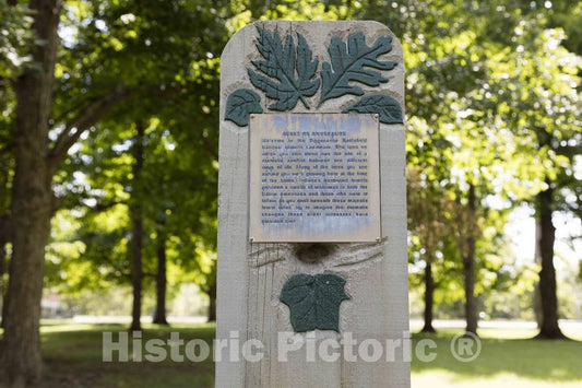Photo - Colorful Marker Describing The Wide Variety of Trees at Tippecanoe Battlefield Park, Near Lafayette in Tippecanoe County, Indiana- Fine Art Photo Reporduction