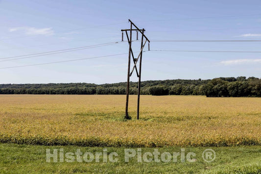 Photo - Colorful Late-Summer Soybean Field, Ready for harvesting Near West Lafayette in Tippecanoe County, Indiana- Fine Art Photo Reporduction