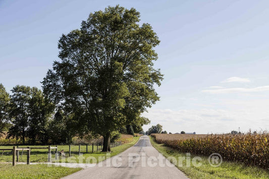Photo - Country Road Near The Town of Flora in Carroll County, Indiana- Fine Art Photo Reporduction