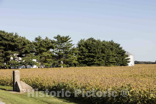 Photo - A Soybean Field Ready for harvesting in Late Summer in Carroll County, Indiana- Fine Art Photo Reporduction