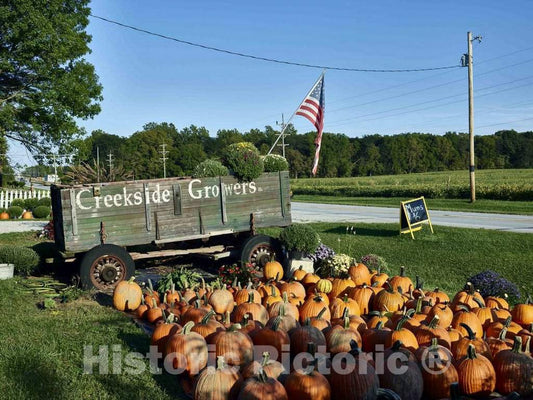 Photo - Colorful Fall Display at The Creekside Growers Stand Near Rossville in Clinton County, Indiana- Fine Art Photo Reporduction