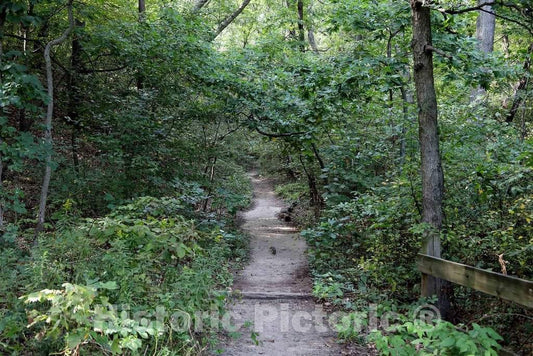 Photograph - Pathway from wooded campsites down to the dunes at Indiana Dunes State Park, encompassing 2,182 acres of beaches, sand dunes, and marshes along Lake Michigan in Porter County 1