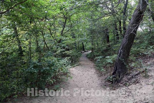 Photograph - Pathway from wooded campsites down to the dunes at Indiana Dunes State Park, encompassing 2,182 acres of beaches, sand dunes, and marshes along Lake Michigan in Porter County 2