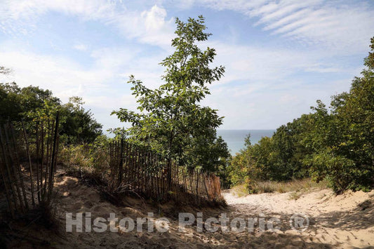Photo- The Last Few feet of The Path from high, wooded Campsites Down to The Dunes at Indiana Dunes State Park, encompassing 2,182 Acres of Beaches, Sand Dunes 2 Fine Art Photo