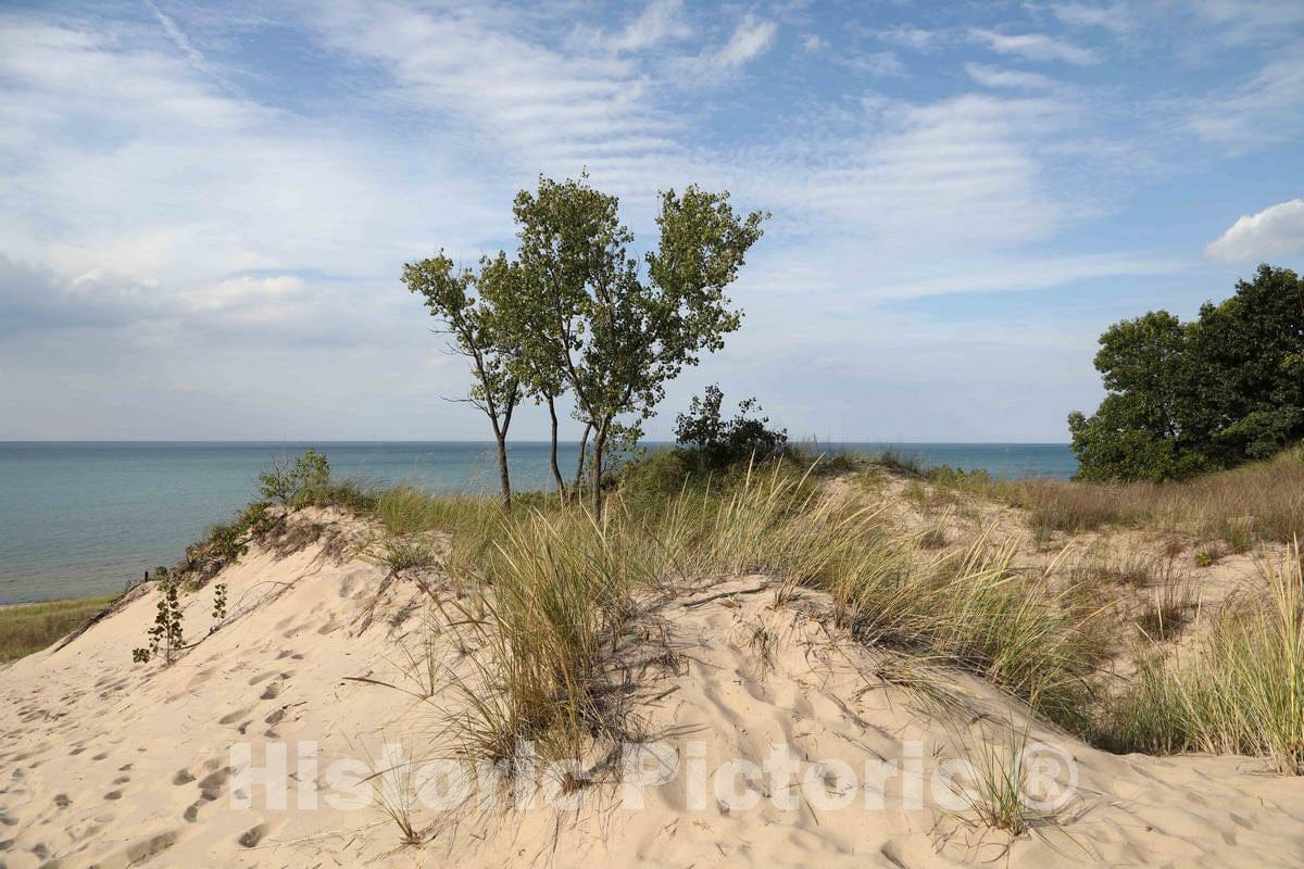 Photo- Scene at Indiana Dunes State Park, encompassing 2,182 acres of beaches, sand dunes, and marshes along Lake Michigan in Porter County, Indiana 1 Fine Art Photo Reproduction