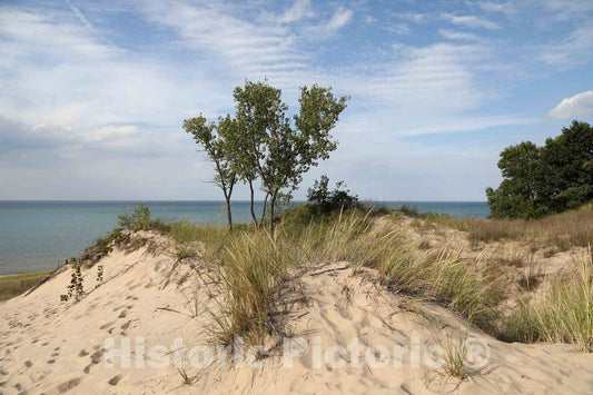 Photo- Scene at Indiana Dunes State Park, encompassing 2,182 acres of beaches, sand dunes, and marshes along Lake Michigan in Porter County, Indiana 1 Fine Art Photo Reproduction