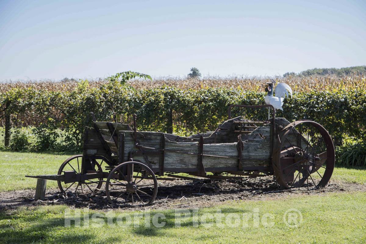 Photo - The Chicken on an Old Wagon on a Hendricks County, Indiana, Farm, Near The Town of Lizton, Could Qualify as Art but The Wagon Itself Might not- Fine Art Photo Reporduction