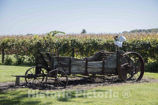 Photo - The Chicken on an Old Wagon on a Hendricks County, Indiana, Farm, Near The Town of Lizton, Could Qualify as Art but The Wagon Itself Might not- Fine Art Photo Reporduction