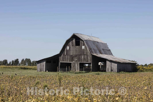 Photo - This old barn near New Winchester in Hendricks County, Indiana, still serves at least one purpose, as a shelter- Fine Art Photo Reporduction