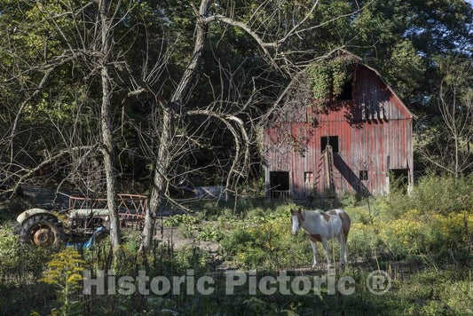 Photo - A Lovely Horse adds a Touch of Class to This tousled Farm Scene in Parke County, Indiana- Fine Art Photo Reporduction