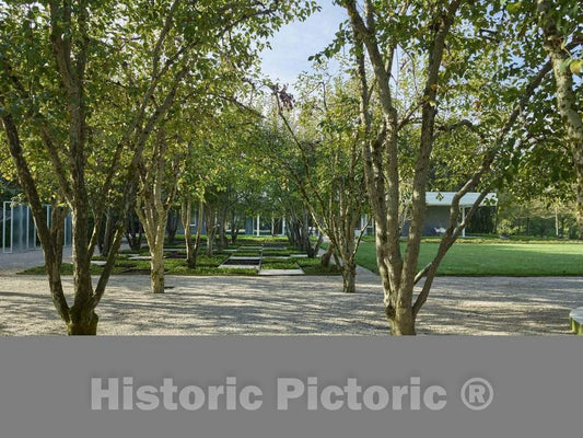 Photograph - Rows of delicate trees outside the Miller House, considered a modern-architecure gem designed by Finnish-American architect Eero Saarinen and completed in 1957 in Columbus 1