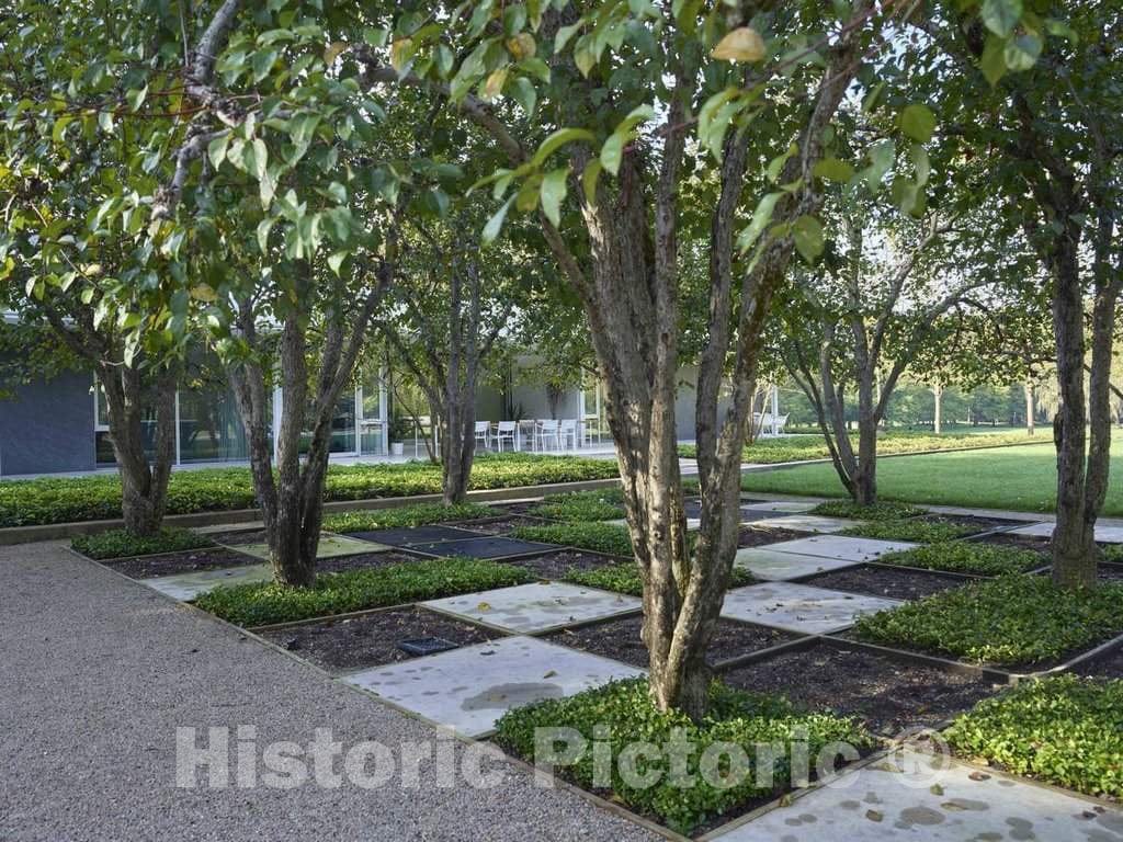 Photograph - Rows of Delicate Trees Outside The Miller House, considered a Modern-architecure gem Designed by Finnish-American Architect Eero Saarinen and Completed in 1957 in Columbus 2