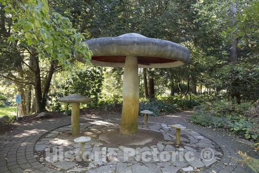 Photo - Toadstool Sculptures in Krider Nurseries'World's Fair Garden in Middlebury, Indiana- Fine Art Photo Reporduction