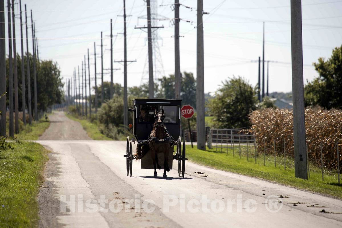 Photo - An Amish horse, buggy, and driver head down a rural road near the settlement of Emma in LaGrange County, Indiana- Fine Art Photo Reporduction