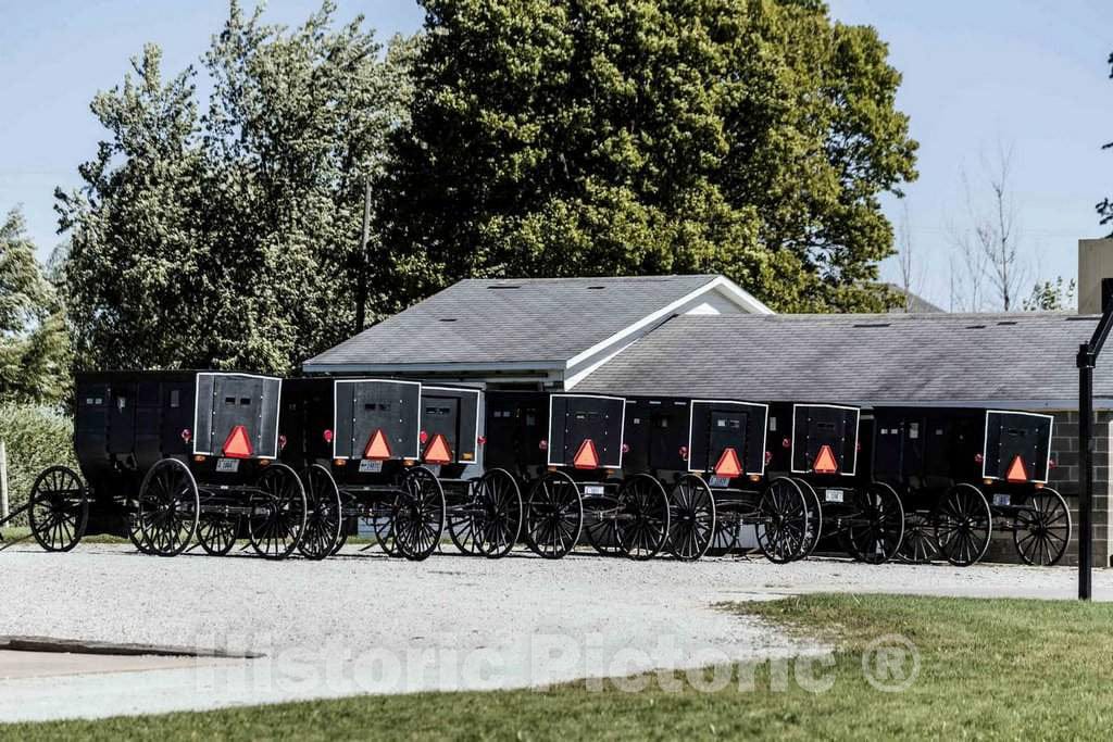 Photo - A Row of Horse-Drawn Buggies at an Amish Farm Near Millersburg in Elkhart County, Indiana- Fine Art Photo Reporduction