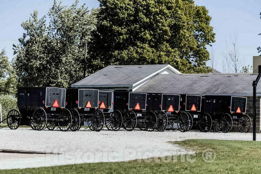 Photo - A Row of Horse-Drawn Buggies at an Amish Farm Near Millersburg in Elkhart County, Indiana- Fine Art Photo Reporduction