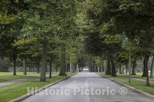 Photo - Canopy of trees on the entry road at Saint Mary's College which is a four-year, Catholic, women's liberal-arts college in Notre Dame, Indiana- Fine Art Photo Reporduction