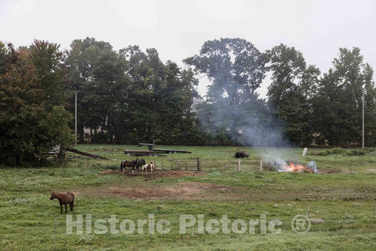 Photo - Horses Appear oblivious to a Small fire on a Farm in Elkhart County, Indiana- Fine Art Photo Reporduction