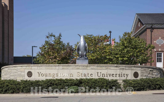 Photo - A steel statue of a penguin welcomes visitors to Youngstown State University in Youngstown, Ohio- Fine Art Photo Reporduction