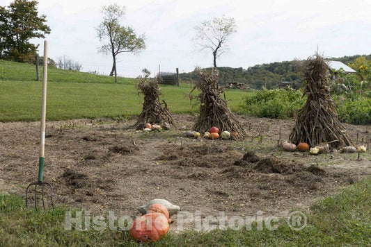 Photo - Gourds, Pumpkins (which are a Form of gourds), and twig Stacks at Yoder's Amish Home- Fine Art Photo Reporduction