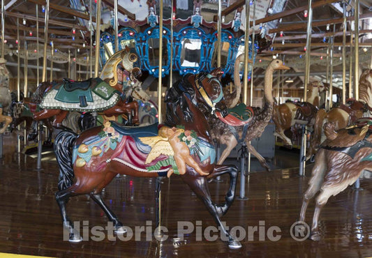 Photo- The Carousel, or Merry-go-Round, at Richland Carrousel Park Opened in 1991 in Downtown Mansfield, Ohio 3 Fine Art Photo Reproduction