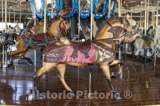Photo- The Carousel, or Merry-go-Round, at Richland Carrousel Park Opened in 1991 in Downtown Mansfield, Ohio 6 Fine Art Photo Reproduction