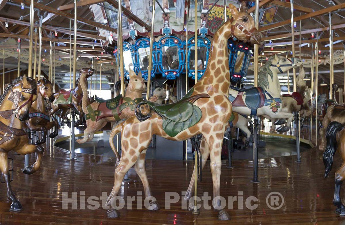 Photo- The Carousel, or Merry-go-Round, at Richland Carrousel Park Opened in 1991 in Downtown Mansfield, Ohio 7 Fine Art Photo Reproduction