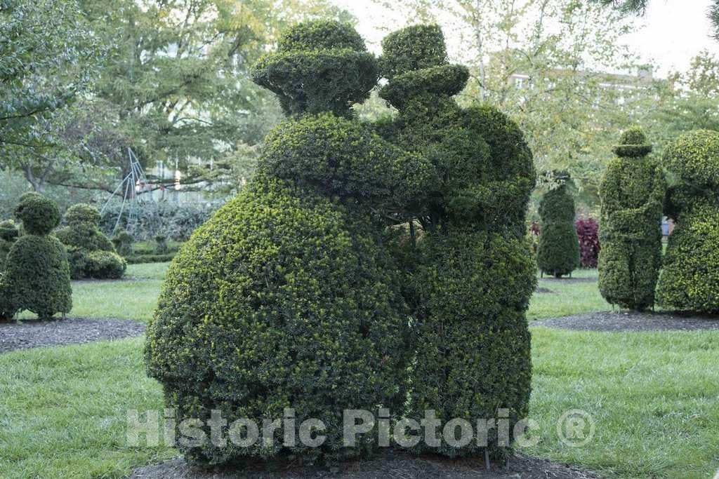 Dragable Image
