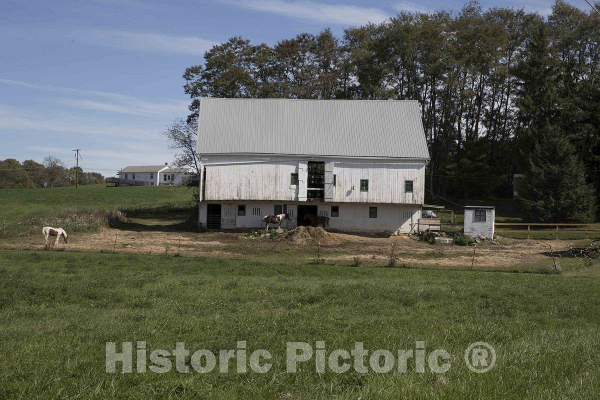 Dragable Image
