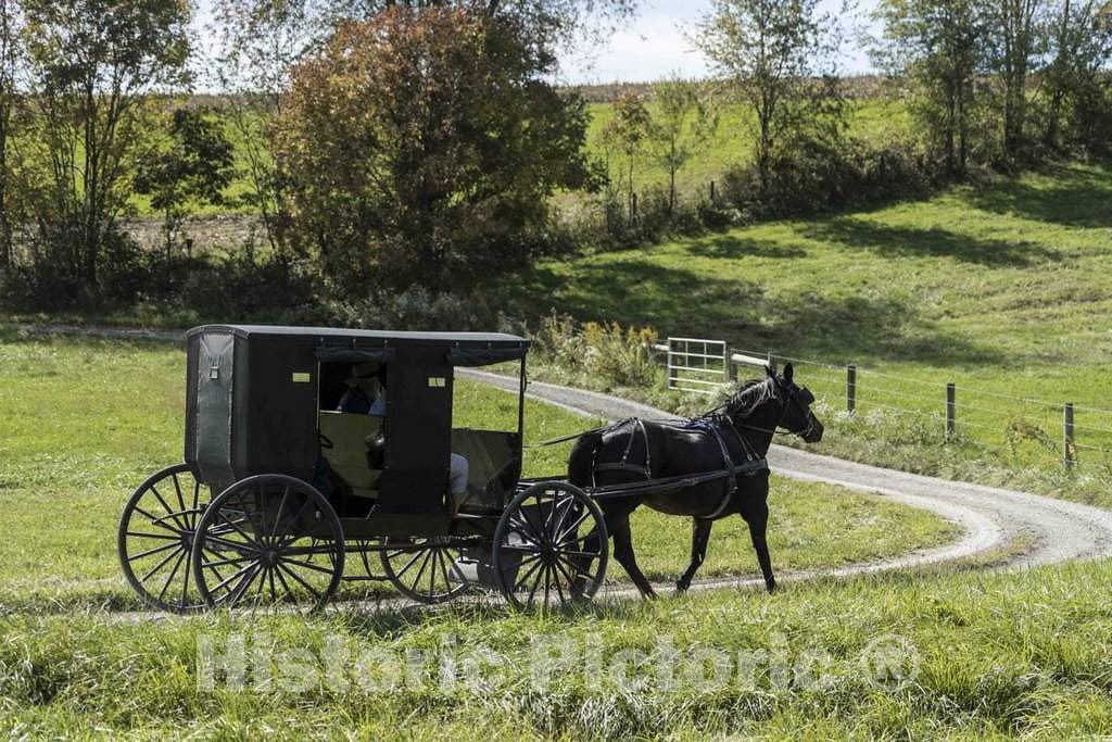 Photo - an Amish Horse, Buggy, and Rider or Riders Clip-clop Down a Country Road in Holmes County, Ohio, Near Walnut Creek- Fine Art Photo Reporduction