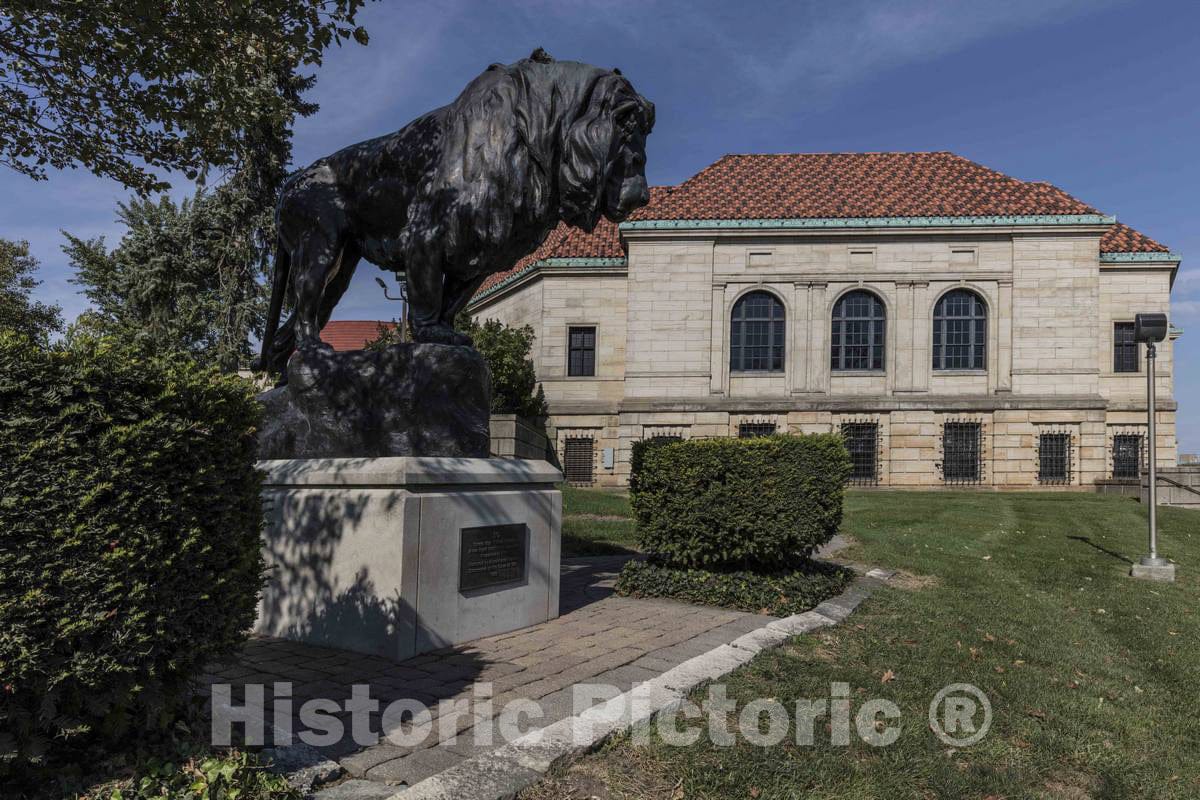 Photo -Leo, Crafted in 1908, Served as Dayton, Ohio's, Steele High School Mascot- Fine Art Photo Reporduction