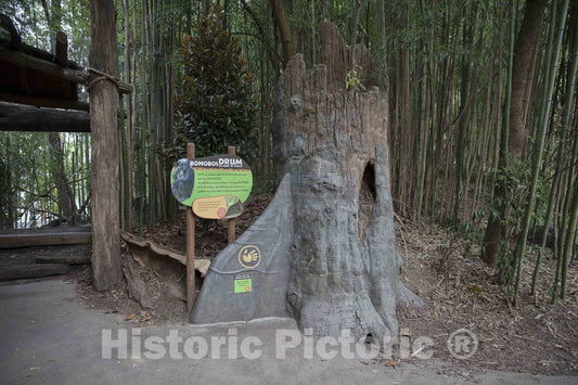 Photo - The Cincinnati Zoo and Botanical Garden incorporates informational Signs Such as This into The Jungle-Like Environment of its Grounds- Fine Art Photo Reporduction