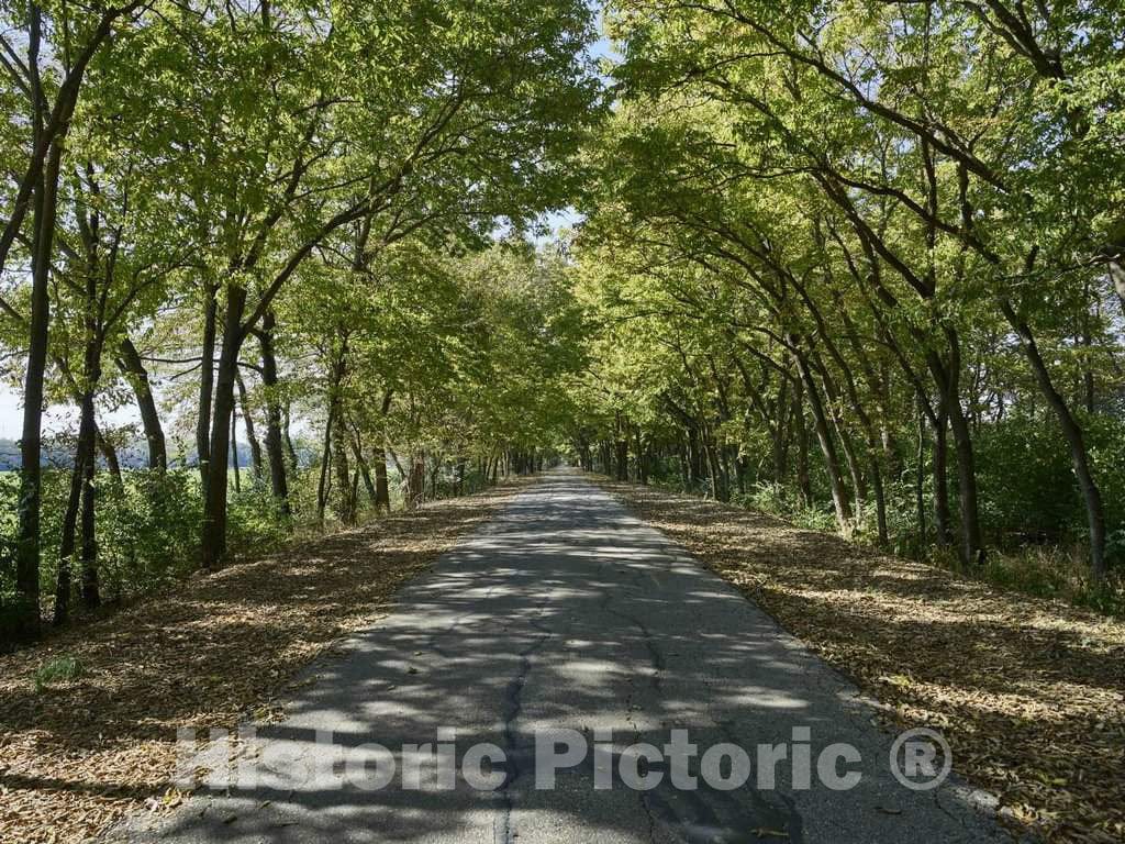 Photo - One of Several Long allees at Woodland Cemetery and Arboretum, in Dayton, Ohio, one of The Oldest Garden Cemeteries in The United States- Fine Art Photo Reporduction