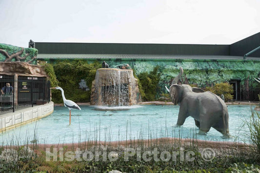 Photo- This is Neither a Zoo nor a Water Park, but It's Jungle Jim's International Market in The Cincinnati Suburb of Fairfield, Ohio 2 Fine Art Photo Reproduction