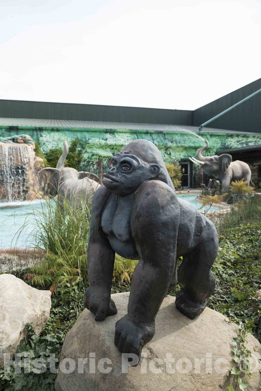 Photo- This is Neither a Zoo nor a Water Park, but It's Jungle Jim's International Market in The Cincinnati Suburb of Fairfield, Ohio 1 Fine Art Photo Reproduction