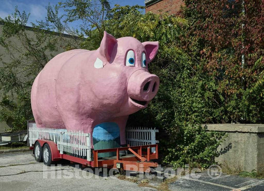 Photo - Giant Pig Outside The American Sign Museum in The Industrial Camp Washington Neighborhood of Cincinnati, Ohio- Fine Art Photo Reporduction