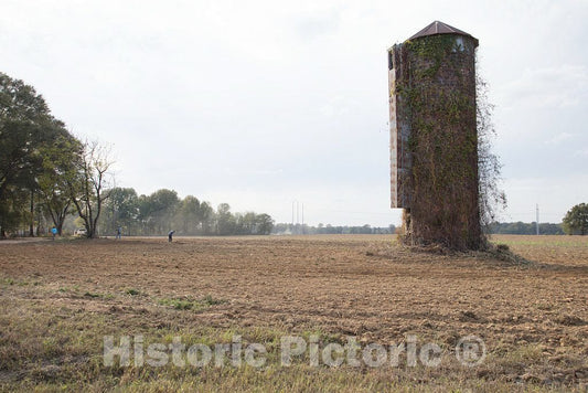 Photo - Vines have got the better of an old, tilting silo in rural Panola County, Mississippi- Fine Art Photo Reporduction