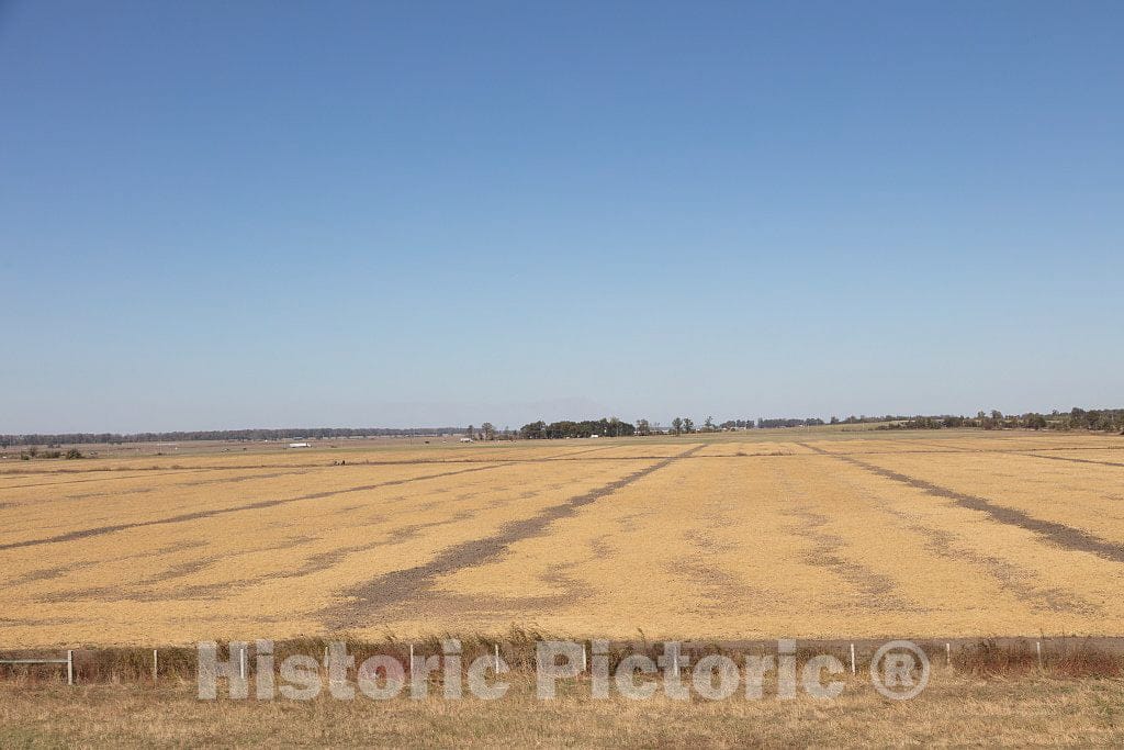 Photo - Rural Scene Near The Town of Lake Cormorant in DeSoto County, Mississippi- Fine Art Photo Reporduction